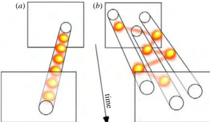 Figure 2. Discrete perception and sequential attention could reflect a unique periodic sampling mechanism