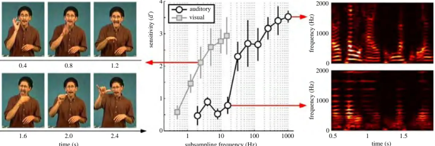 Figure 5. Auditory and visual vulnerability to input stream subsampling. The same participants (n ¼ 4) watched and listened to sequences of 3 s long video and audio snippets (respectively) in different blocks while performing a two-back task (responding to
