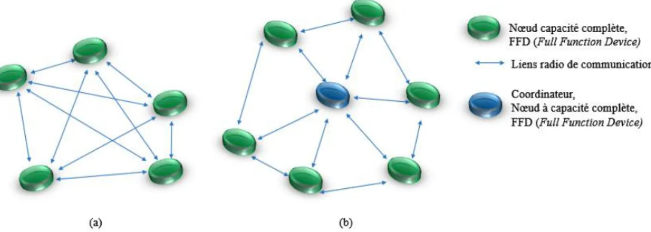 Figure 6 : Topologie cluster-tree                                                               
