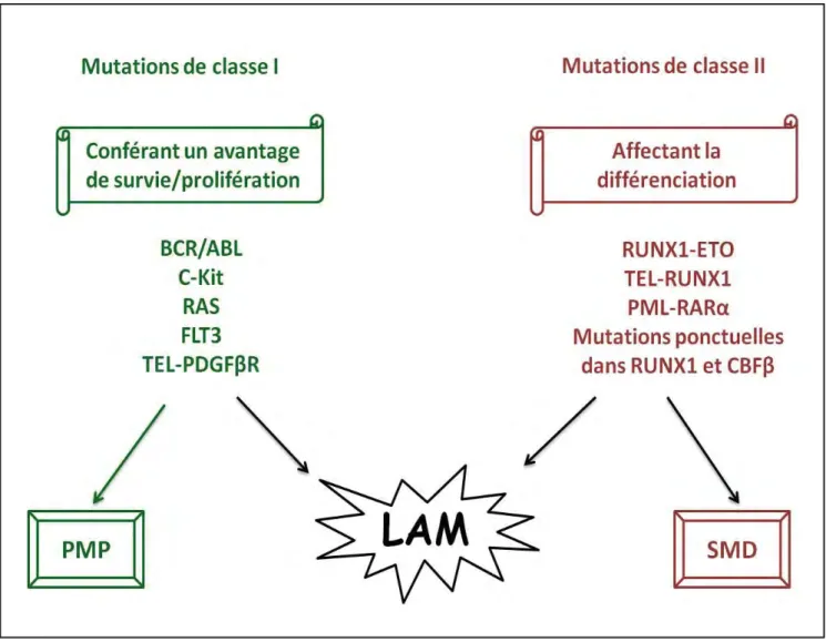 Figure 12 : Coopération de deux types d’évènements dans le développement d’une LAM. 