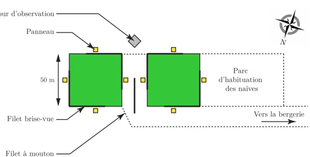 Figure 2.4 – Dispositif expérimental. Les deux arènes de tests sont représen-