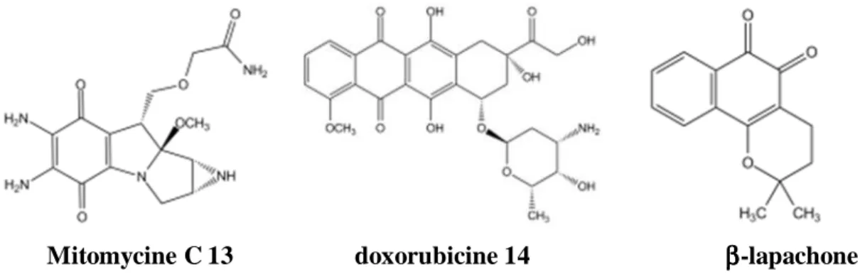 Figure 4. Bioactivation de la  β -lapachone par QR1. Dans les cellules cancéreuses présentant  des taux élevés de QR1 (cancers du sein, poumon, pancréas, colon et prostate), la réduction de  la  β -lapachone  par  QR1  produit  la  forme  hydroquinone  instable  qui  s’auto-oxyde  et  est  responsable  de  la  formation  d’espèces  réactives  de  l’oxygène  ainsi  que  d’une  perte  du 