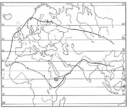 Figure 2.4: World distribution of genus Verbascum (Murbeck 1933) 