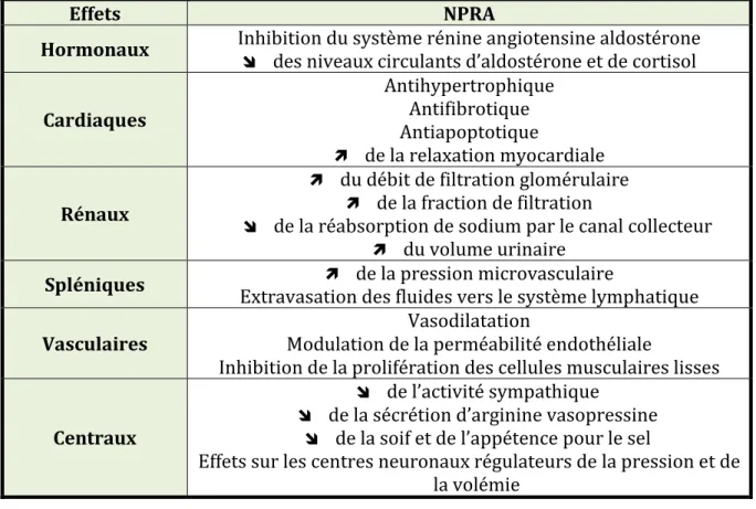 Tableau 5 : Rôles cardiovasculaires induits par l’activation du NPRA. D’après (Kuhn  2003)