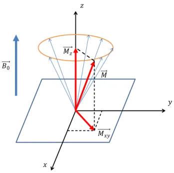 Figure 1 : Alignement des spins sous l'effet d'un champ B0 appliqué selon z. 