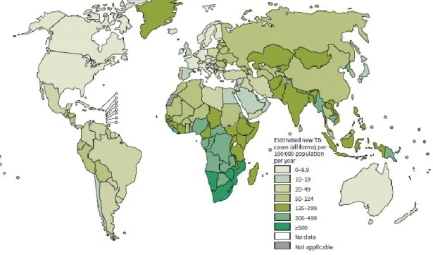 Figure 3. Estimation en 2013 de l’incidence de la tuberculose dans le monde.   Global tuberculosis report WHO, 2014 