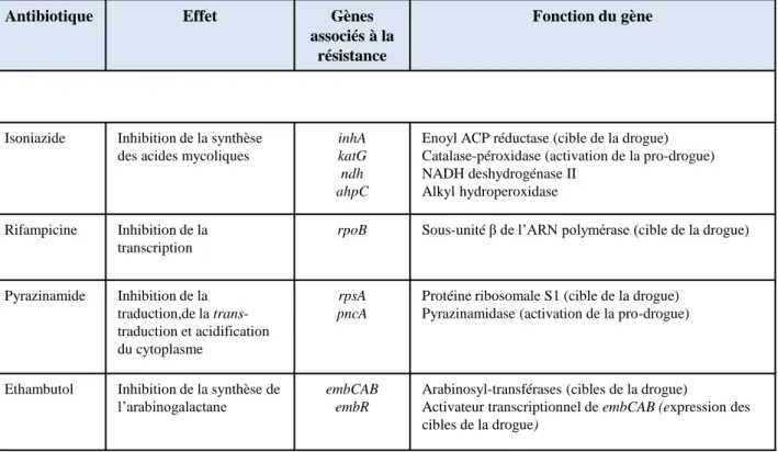 Figure  5.  Les  antibiotiques  de  1 ère   ligne  utilisés  dans  le  traitement  de  la  tuberculose