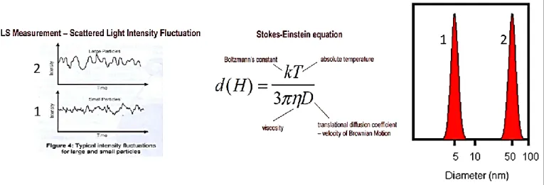 Figure 12 : Transformation mathématique des mouvements de deux molécules de petite (1) 