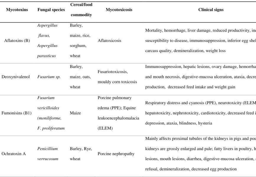 Table 1-1. Mycotoxin occurrences found on cereal grains, their fungal species and clinical signs in farm animals (pig, poultry, ruminants  and horse)