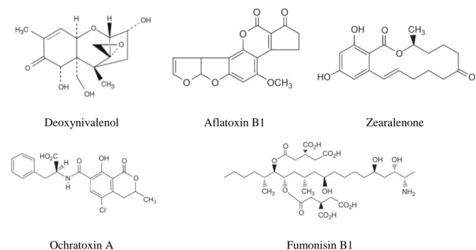 Figure 1-1. Chemical structures of the main occurring mycotoxins in animal feed 