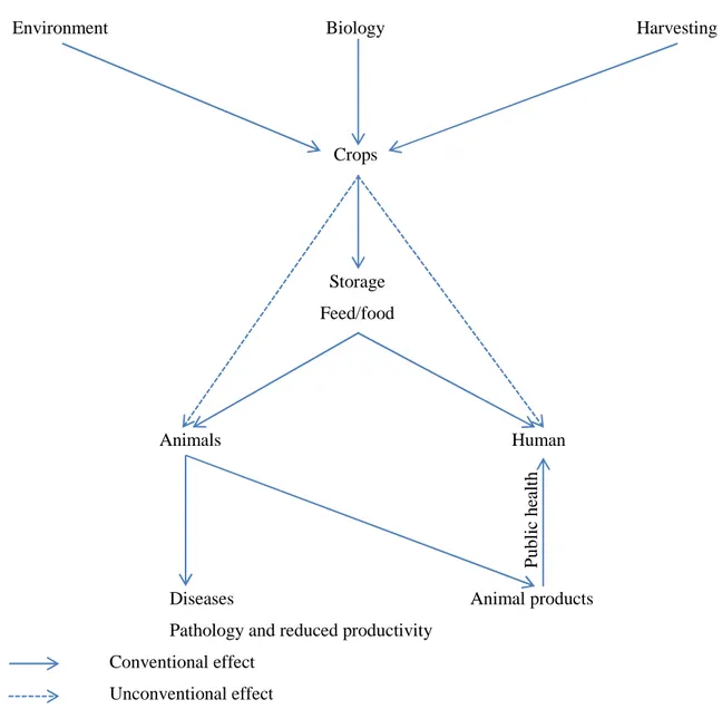 Figure 1-2. Factors affecting mycotoxins occurrence in feed/food 