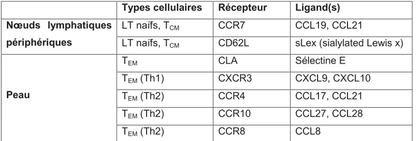 Table  1  Récepteurs  impliqués  dans  le  homing  et  spécifiques  des  nœuds  lymphatiques  périphériques  et  de  la 