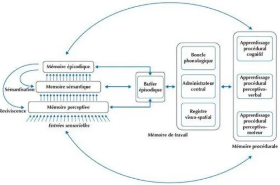 Figure 1 : Le modèle MNESIS 