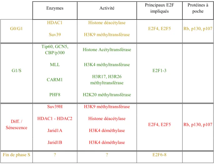 Tableau 6: Activités de modification des histones impliquées dans la régulation des gènes  cibles de E2F 