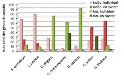 Figure 2. Fréquence des différents modes d'organisation génomique chez les Eucaryotes