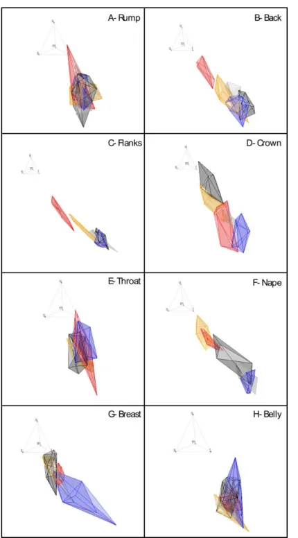 Figure  3.  Projection  of the  colours  of  Zosterops  borbonicus  individuals into  Goldsmith's  tetrahedral 