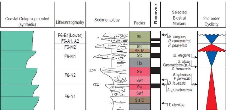 Figure 5 : Log stratigraphique du silurien argileux gréseux, de P-1 utilisé dans cette étude
