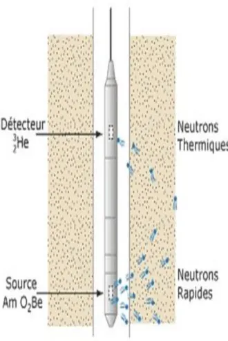 Figure 11 : Schémas de La sonde neutron. (Document SONATRACH) 