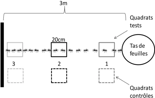 Figure 1.  Dispositif expérimental  