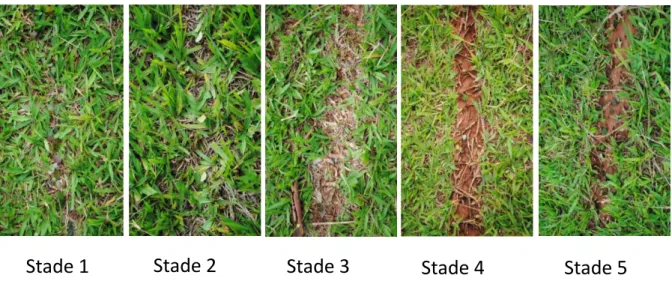 Figure 2.  Photographies des 5 stades de construction. 