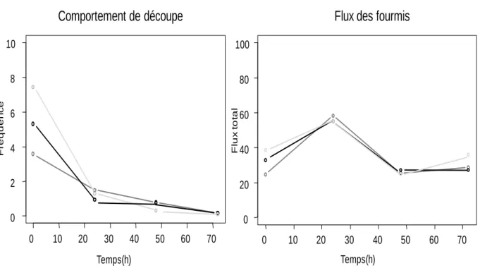 Figure  3.  Fréquence  moyenne  du  comportement  de  découpe  et  flux  total  moyen  de  fourmis  par  minute en fonction du temps