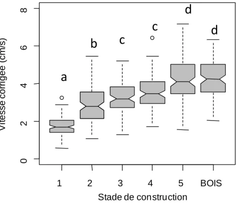 Figure 5. Vitesse des fourmis en fonction des 5 stades de construction et de la condition contrôle  pont en bois