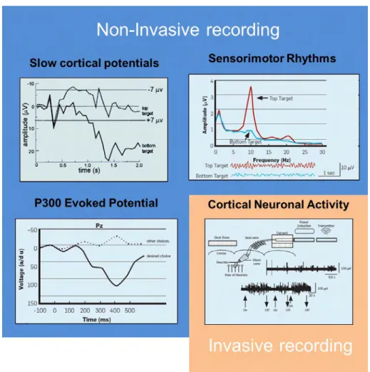 Figure 1.8: Some examples of signals that can be recorded from the brain by invasive and non-invasive techniques (adapted from [28]).
