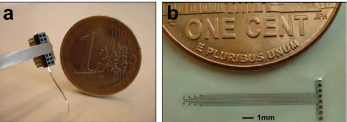 Figure 1.13: Two examples of flexible implantable electrodes fabricated on a) polyimide (from [55]) and b) parylene (from [62]).