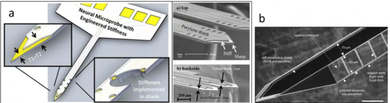 Figure 1.23: a)parylene-based sharp-tipped microprobes, with shanks of 2 mm-long, 20 µm-thick and 380 µm-wide[132]