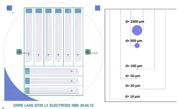 Figure 2.2: Mask design for the prototype polyimide-based electrodes and electrode sizes.