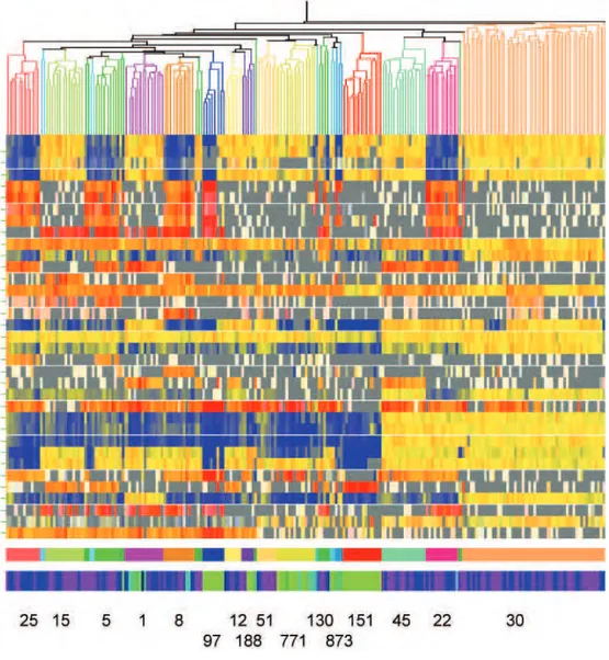 Figure 8 : Données du microarray de 217 isolats de S. aureus (161 isolats humains porteurs et invasifs et 56  isolats animaux), classées par une corrélation de Spearman en utilisant 728 gènes variables de base