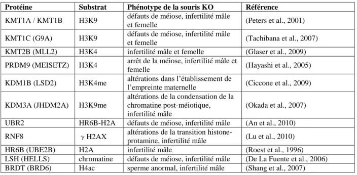 Tableau 2 : Régulateurs épigénétiques chromatiniens et leurs effets sur la méiose (adapté de (Kota and Feil,  2010))