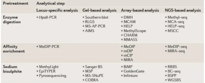 Tableau 3 : Principales techniques de mesure de la méthylation de l’ADN (Laird, 2010) 
