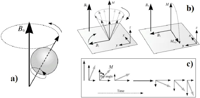 Figure 1. Schematic represents a) precession of magnetic moment around B 0 , b) effect of RF 
