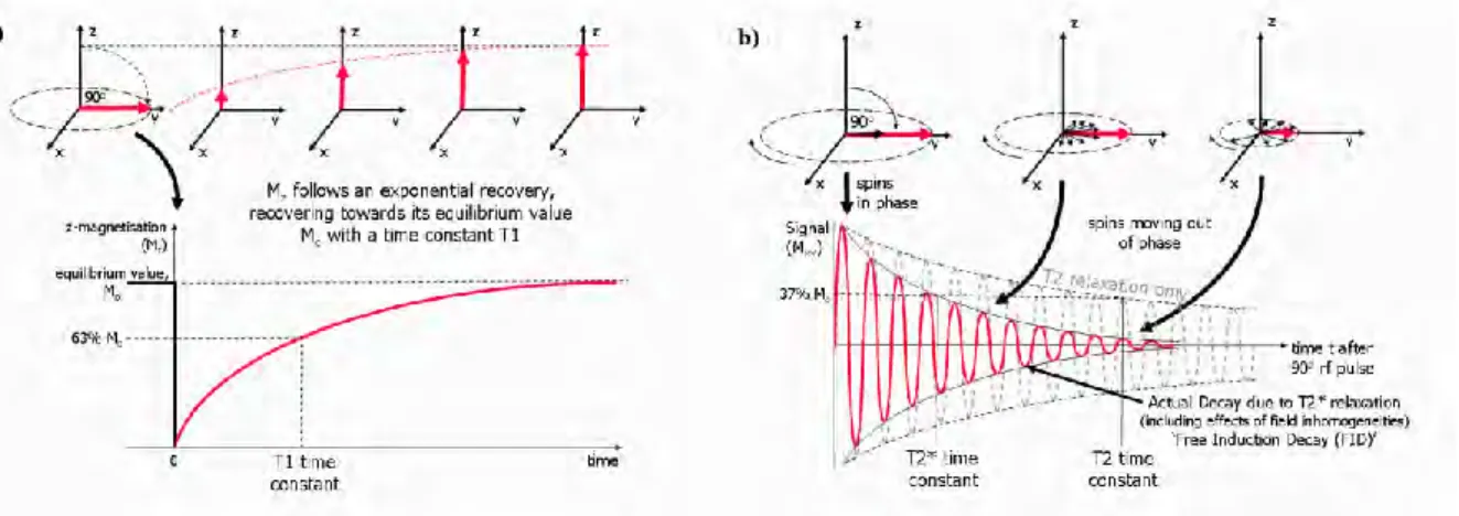 Figure 2.  a) Longitudinal and b) Transverse relaxation time of magnetic moment after  termination of RF [13] 