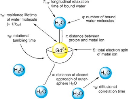 Figure 3. Schematic representation of the inner, second and outer sphere contributions on  relaxation time [18] 