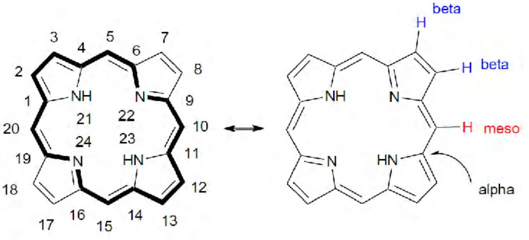 Figure 9. Schematic of porphine and peripheral position of atoms in porphine structure 