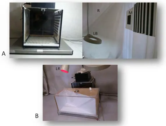 Figure 8 :  Dispositif  de  conditionnement  de  peur  au  contexte.  A :  A  gauche,  cage  de  conditionnement  et  de  test  au  contexte