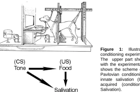 Figure  1:  Illustration  of  the  classical  conditioning  experiment  conducted  by  Pavlov