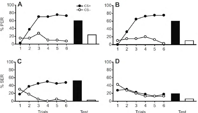 Figure  12:  Effects  of  queen  mandibular  pheromone  (QMP)  on  appetitive  learning  (A,B)  or  aversive 