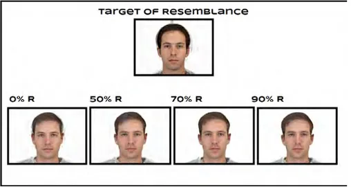 Figure 7: Nepotism Similarity (R) Manipulation Sequence