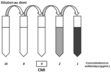 Figure 4 : Méthode de détermination de la CMI. 