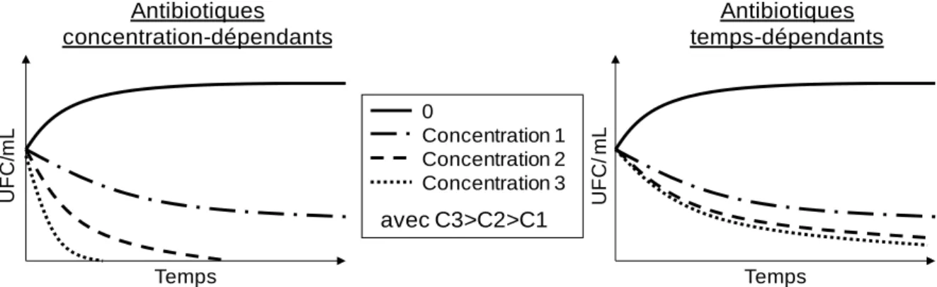 Figure 5  : Courbes de bactéricidie représentatives des antibiotiques concentration- concentration-dépendants et temps-concentration-dépendants