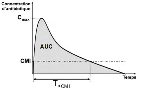 Figure 7 : Présentation des principaux paramètres PK/PD utilisés en antibiothérapie.  La courbe des concentrations plasmatiques d’antibiotique représentée en fonction du temps permet 