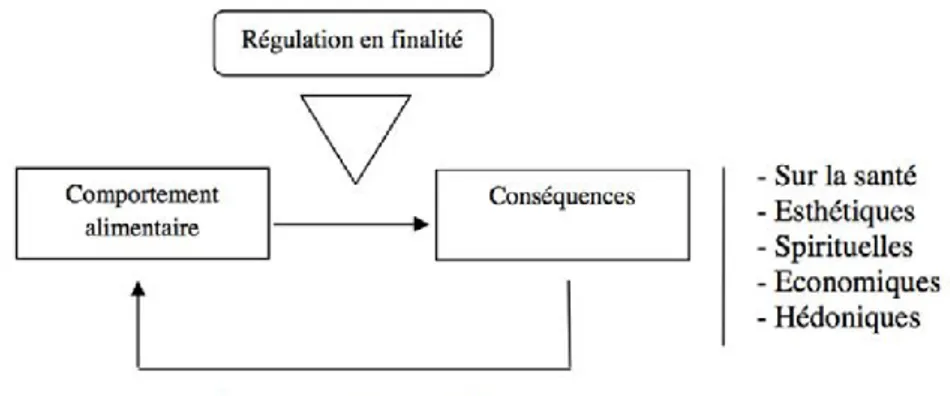 Figure 12 : La rationalité en finalité 