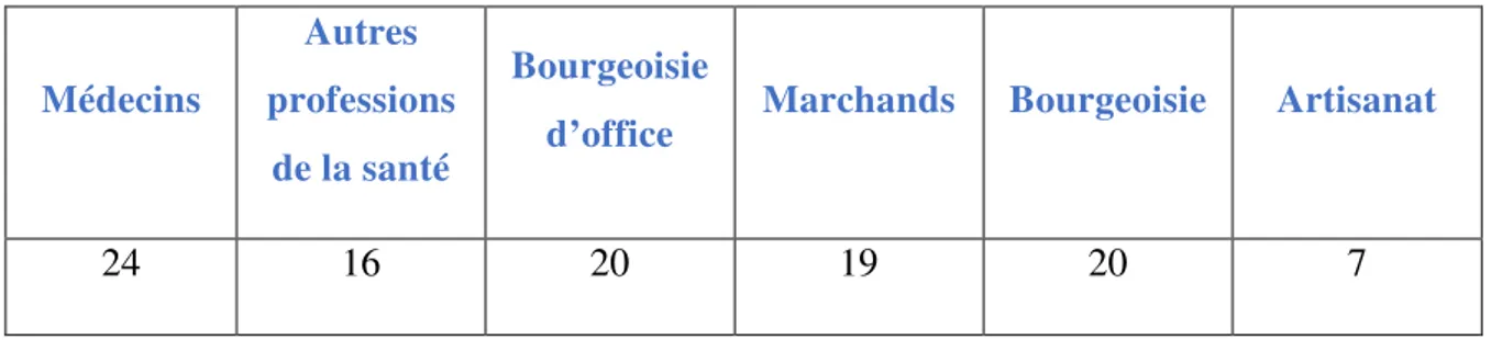 Figure 10 : les origines socioprofessionnelles des étudiants de notre corpus (1707-1793) 