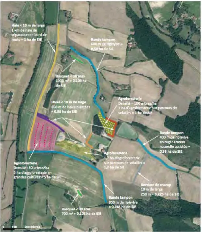 Figure 6 : Représentation des Surfaces d’Intérêt Écologique (SIE) sur une exploitation de 98 ha (Source :  AFAF, 2015) 