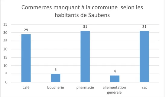 Figure 10 : types de commerçants manquant à la commune de Saubens selon les Saubenois