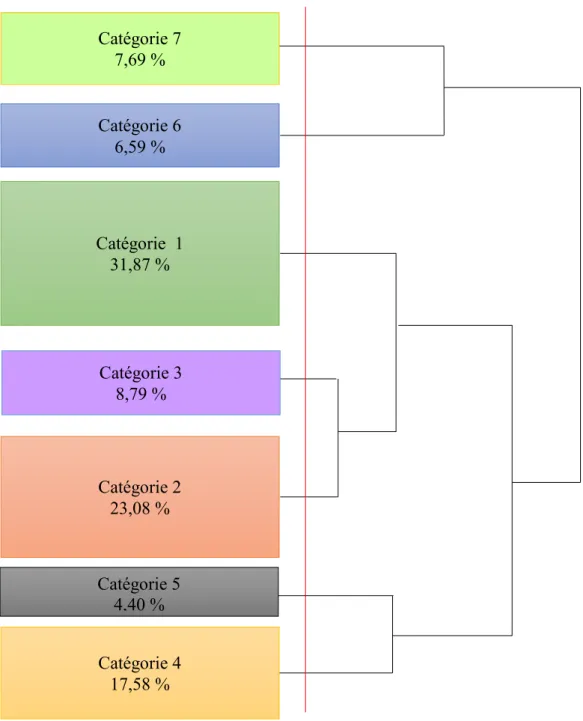 Figure n° 12 : Dendrogramme de la Classification Hiérarchique Ascendante des types de stagiaires cités  par les formateurs   