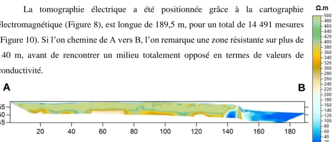 Figure 9 : Terzay – Résultats de la prospection magnétique Ferex, mesures du gradient magnétique en nT/m pour un écartement  des capteurs de 0,50 m